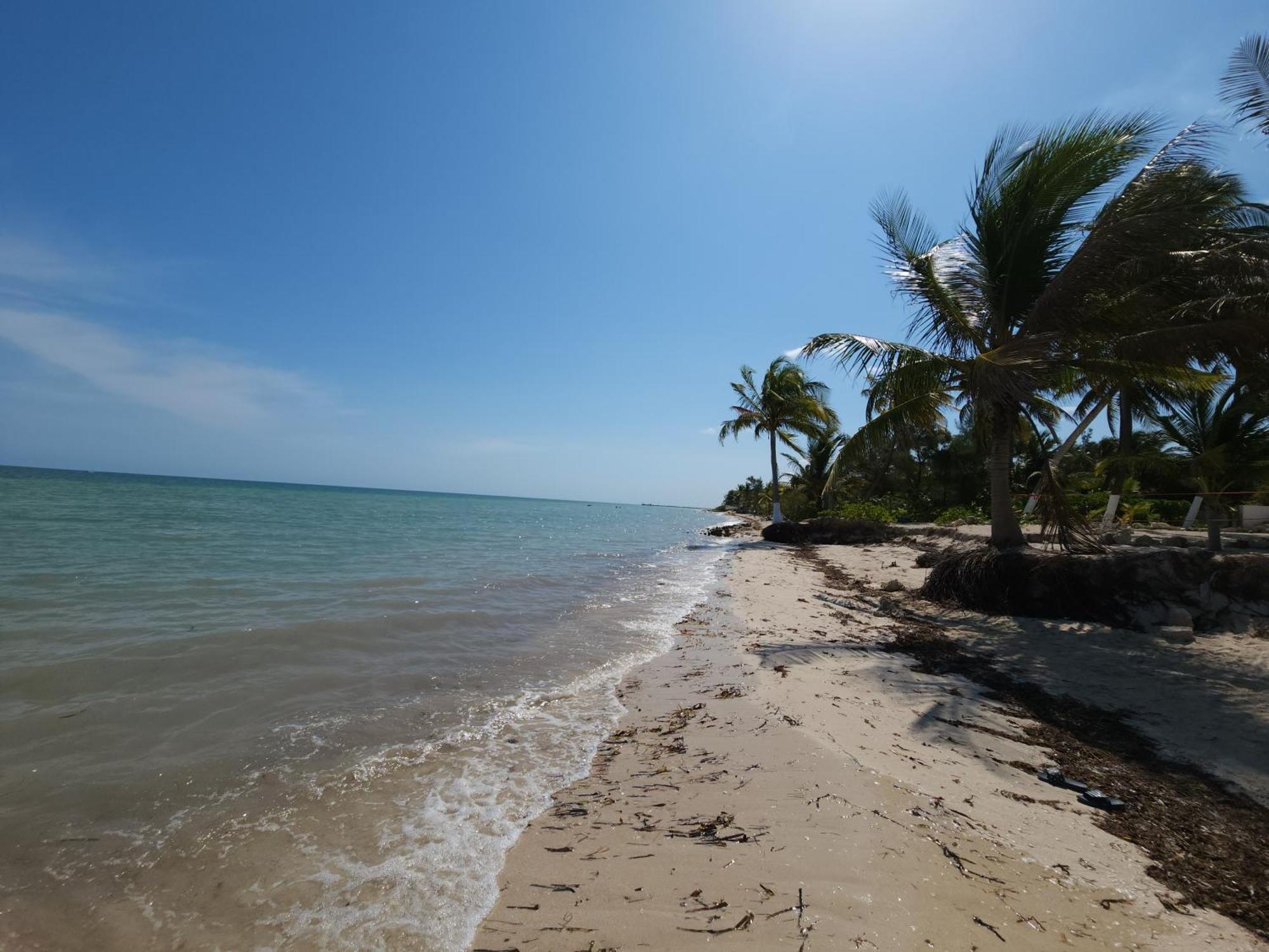 Vila Quiet And Peaceful House, All Installations Are Private, With Pool And Very Close To The Beach Telchac Puerto Exteriér fotografie